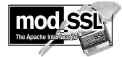 this site uses mod_ssl !