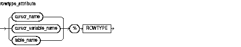 Description of rowtype_attribute.gif follows