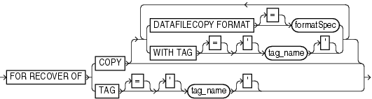 Description of forrecoveryofspec.gif follows Description of forrecoveryofspec.gif follows