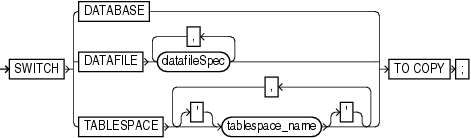 Description of switch.gif follows Description of switch.gif follows