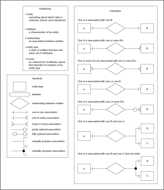 Rule for drawing an E-R diagram Rule for drawing an E-R diagram