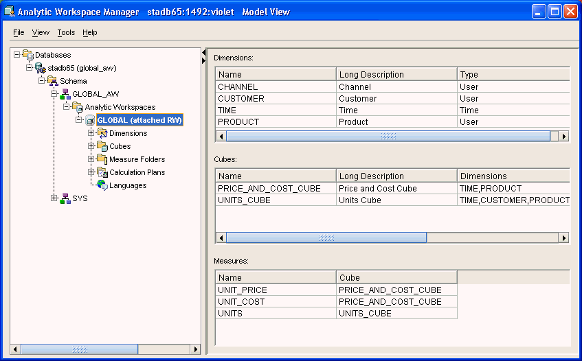 Model View in Analytic Workspace Manager Model View in Analytic Workspace Manager