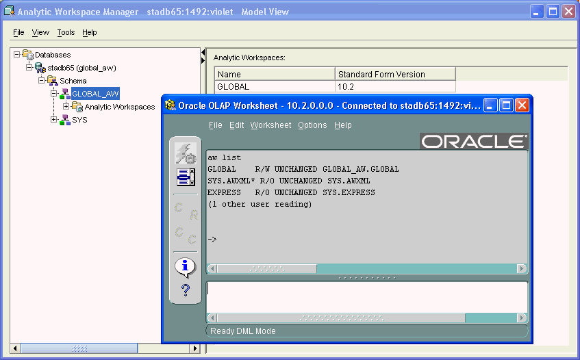 OLAP Worksheet in Analytic Workspace Manager OLAP Worksheet in Analytic Workspace Manager