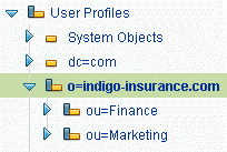 Screen capture of the Administration Console showing the example organization if you are using Sun ONE Directory Server